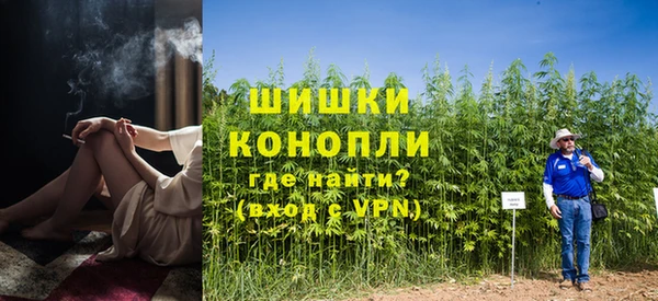 гидропоника Каменногорск