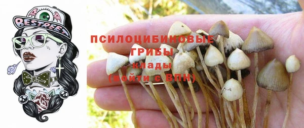 mix Каменка
