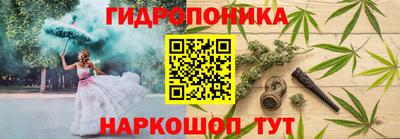 spice Гусь-Хрустальный