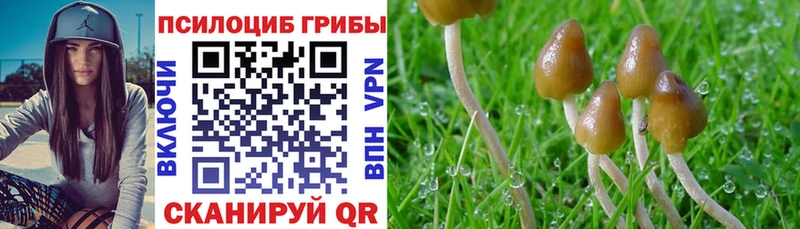 дарнет шоп  Пенза  Галлюциногенные грибы MAGIC MUSHROOMS 
