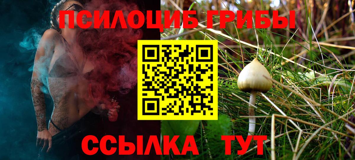 где купить наркоту  Галлюциногенные грибы прущие грибы  Вход с VPN  Пенза  Галлюциногенные грибы мицелий 